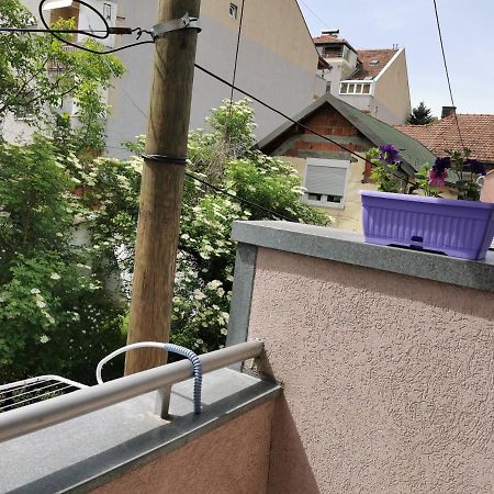 Apartmani Milica Kruševac Dış mekan fotoğraf