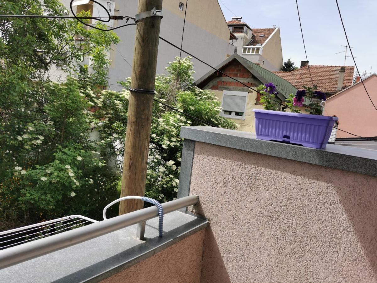 Apartmani Milica Kruševac Dış mekan fotoğraf